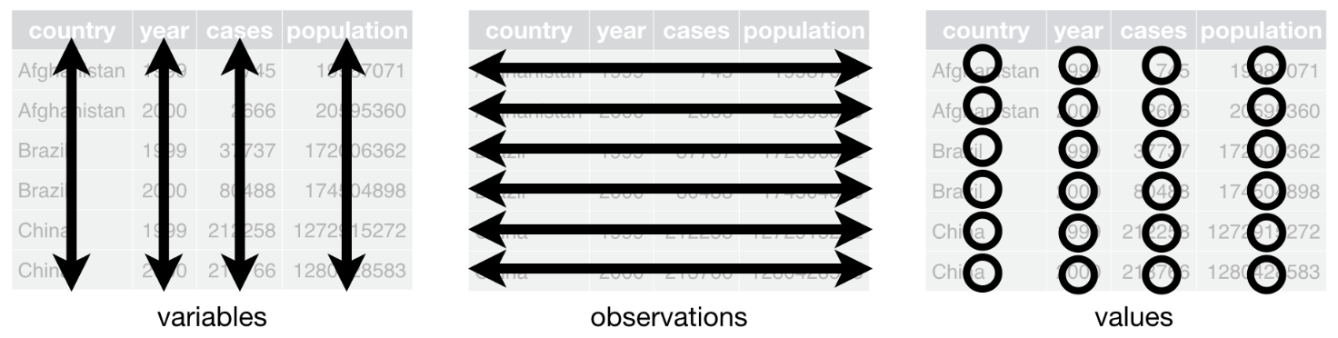 Qualitative variables under study