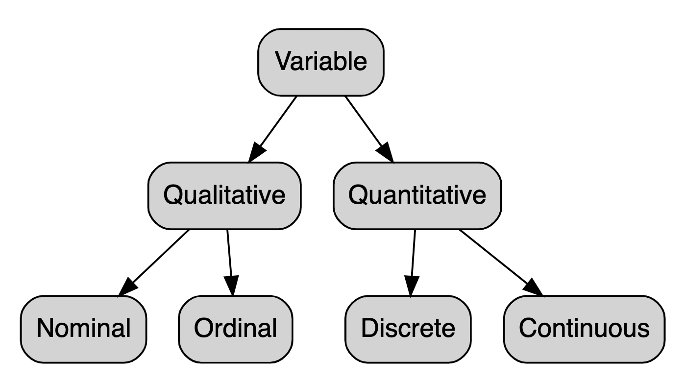 qualitative and quantitative variables in research